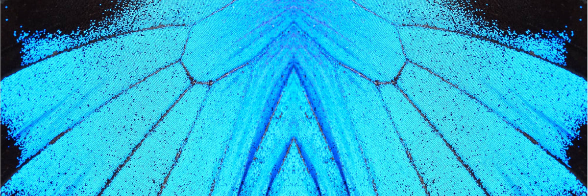 The philosophy and living color of Cosmoetics is about adornment as an act of nourishment