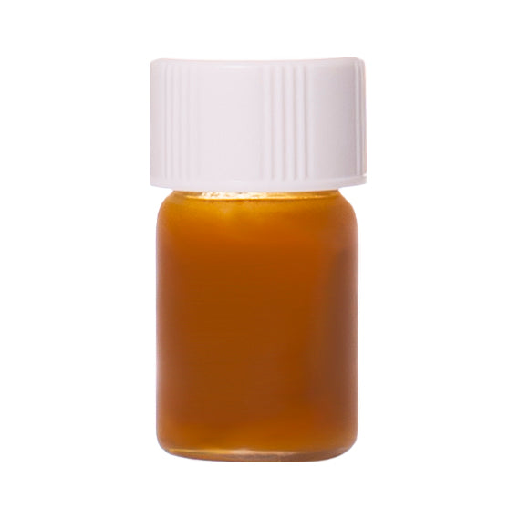 Echinacea - Ginger + Orange Blend