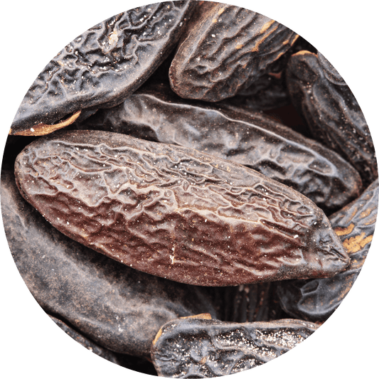 Tonka Bean - Absolute