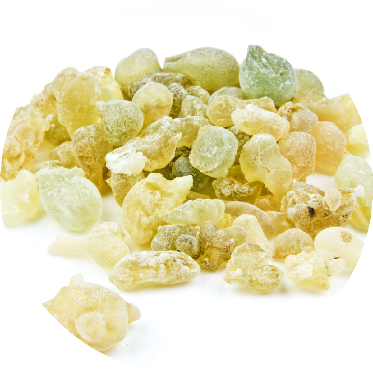 Frankincense, Serrata - Essential Oil