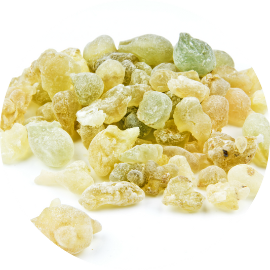 Frankincense, Serrata - Essential Oil