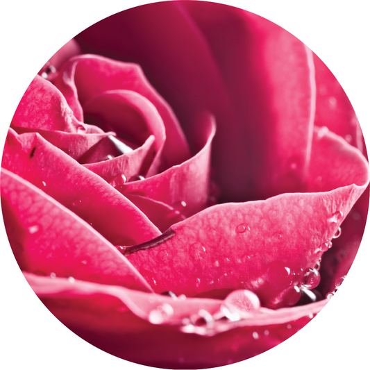 Rose Attar - Essential Oil