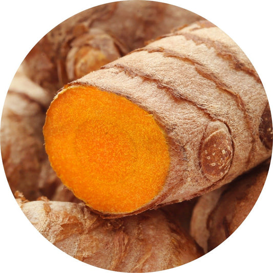Turmeric - Essential Oil