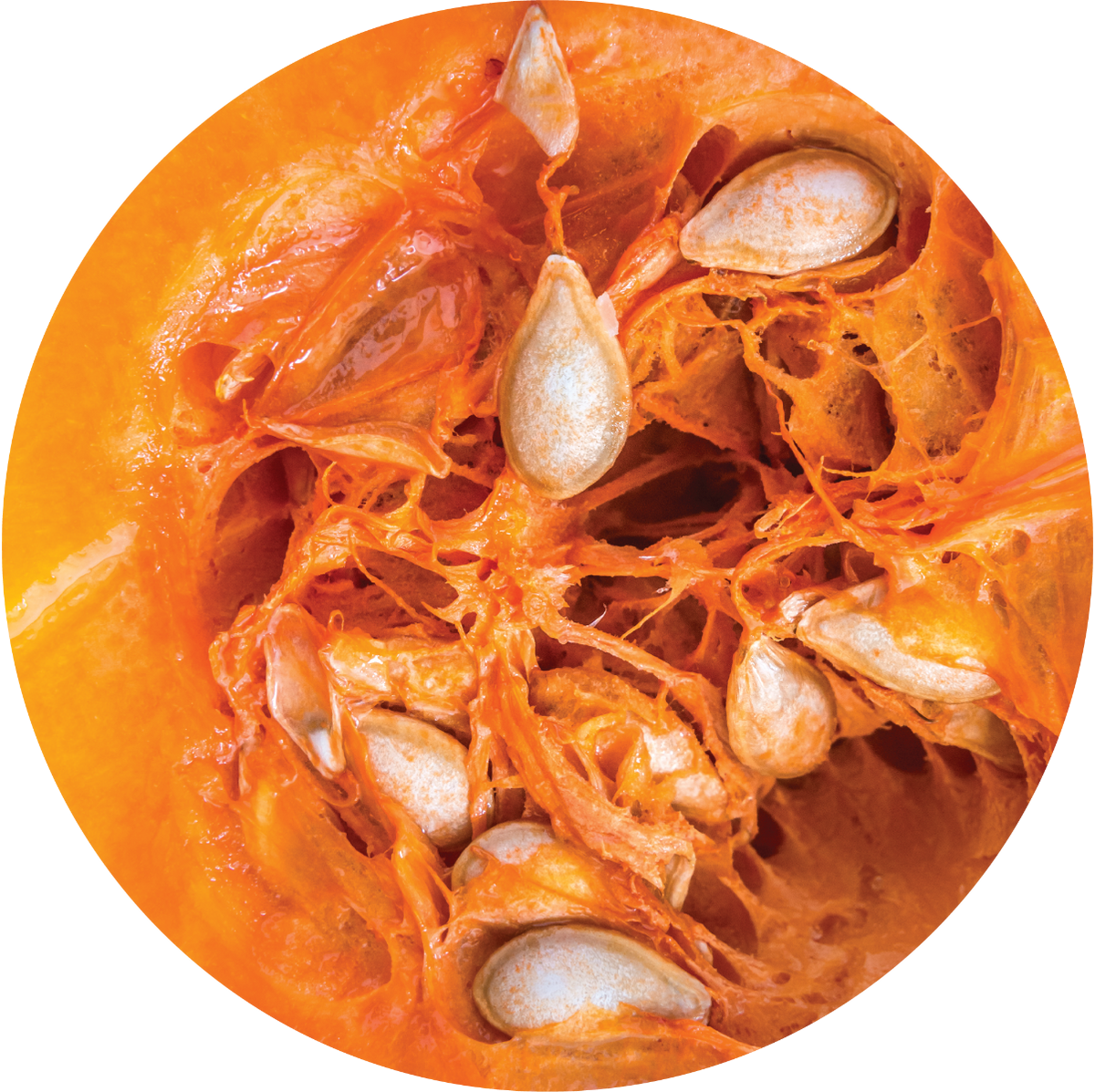 Pumpkin Seed - Carrier Oil